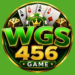WGS456 Game