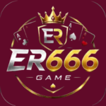ER666 game